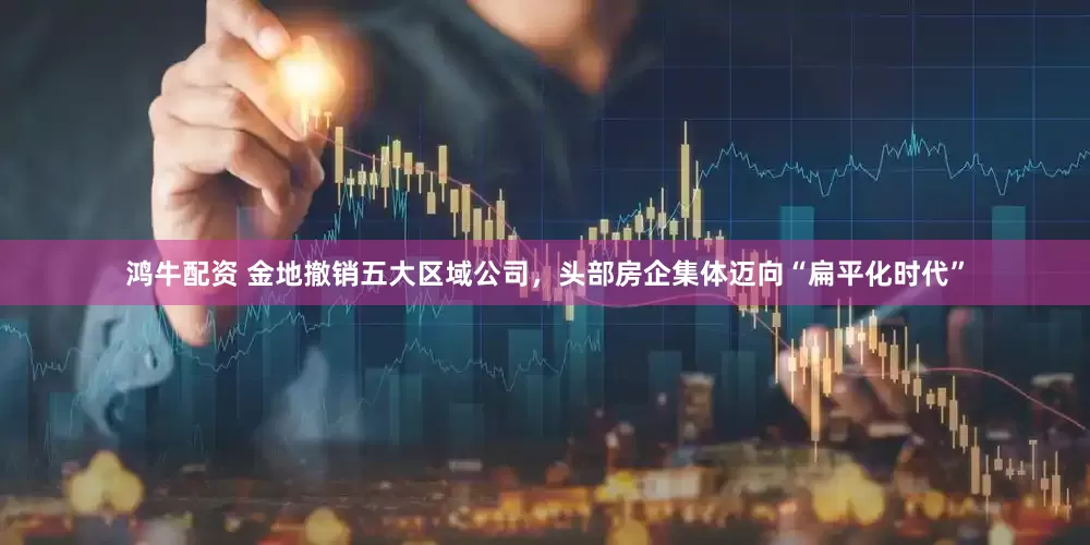 鸿牛配资 金地撤销五大区域公司，头部房企集体迈向“扁平化时代”