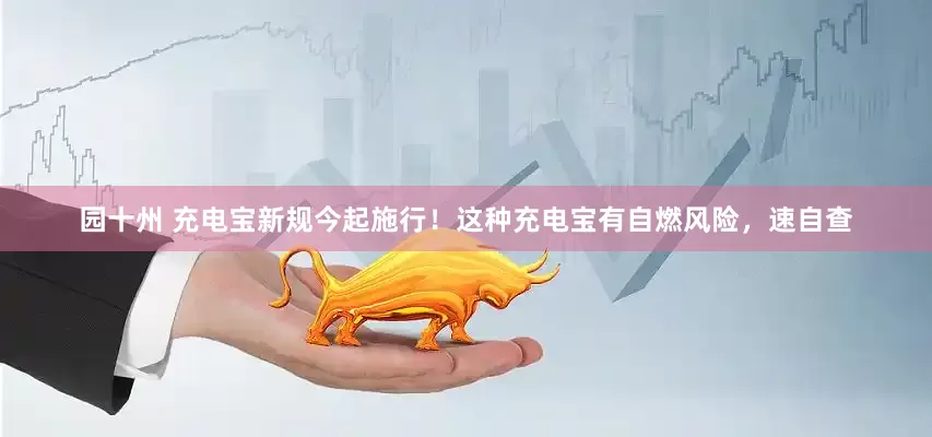 园十州 充电宝新规今起施行！这种充电宝有自燃风险，速自查