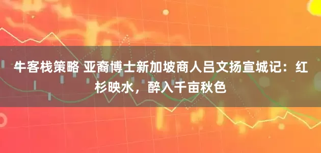 牛客栈策略 亚裔博士新加坡商人吕文扬宣城记:红杉映水,醉入千亩秋色