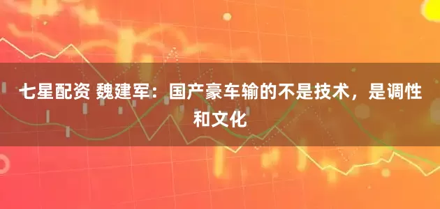 七星配资 魏建军：国产豪车输的不是技术，是调性和文化